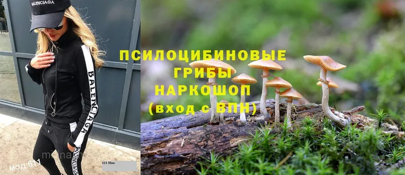 Псилоцибиновые грибы MAGIC MUSHROOMS Александровск